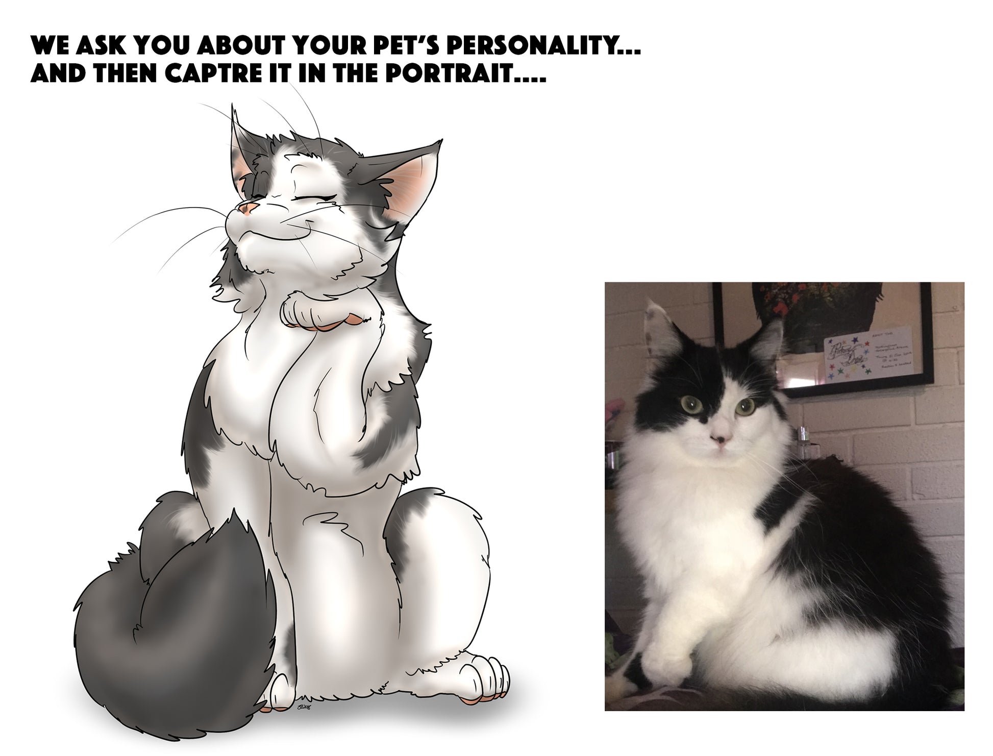 Custom Pet Portrait - Cool Gift For Animal Lovers - Cartoon Caricature Dog Cat Horse Rabbit - Hand drawn from photos - Make Me A Comic Ltd